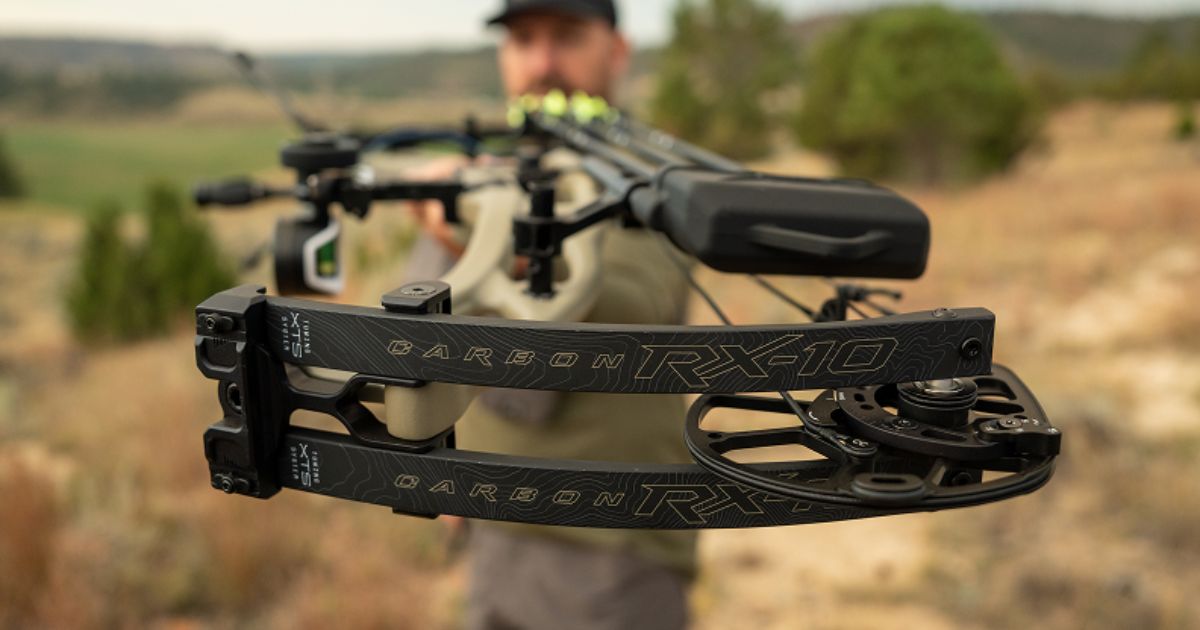 Hoyt