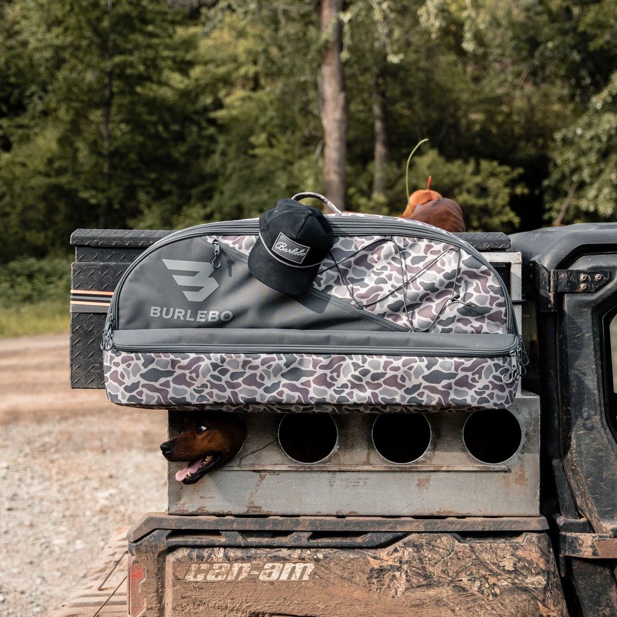 Bow Case