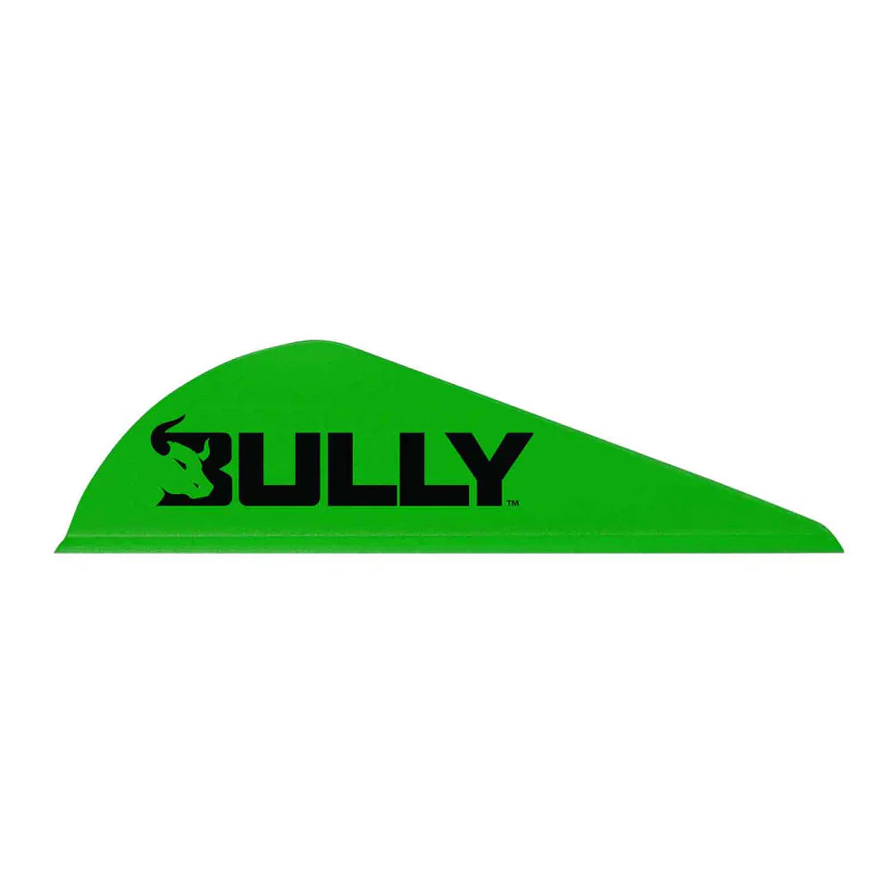 6.5 BOWHUNTER 2" BULLY VANES (HALF DOZEN)