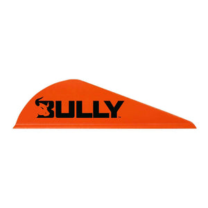 6.5 BOWHUNTER 2" BULLY VANES (HALF DOZEN)