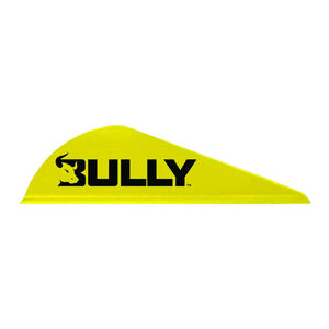6.5 BOWHUNTER 2" BULLY VANES (HALF DOZEN)
